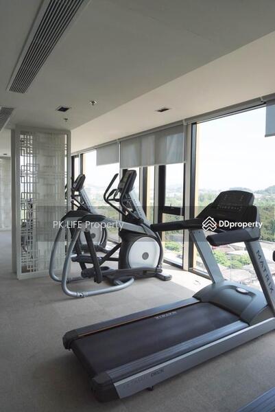 The Base Height Phuket, Phuket, 359 Soi Hongyok Utis Yaowarat Road, Talat Yai, Muang Phuket, Phuket, 1 Bedroom, 32 sqm, Condo For Rent, by PK LIFE Property, 10263178 - DDproperty.com