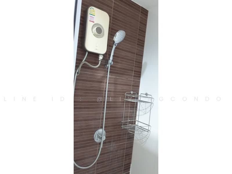 @City Condominium, Bangkok, 169 Sukhumvit Road, Bang Chak, Phra Khanong, Bangkok, 1 Bedroom, 36 sqm, Condo For Rent, by Living Condo, 10266055 - DDproperty.com
