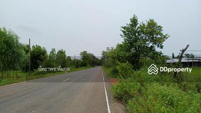ขาย - ที่ดิน นาไฮ, อุบลราชธานี