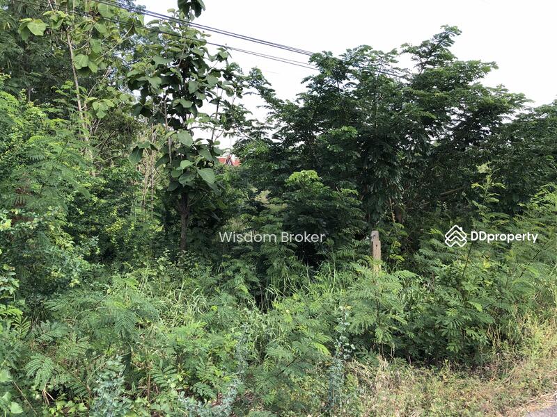 For Sale - ตำบลบางขาม อำเภอบ้านหมี่ ลพบุรี, Lop Buri