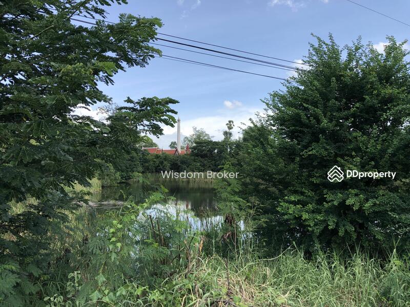 For Sale - ตำบลบางขาม อำเภอบ้านหมี่ ลพบุรี, Lop Buri