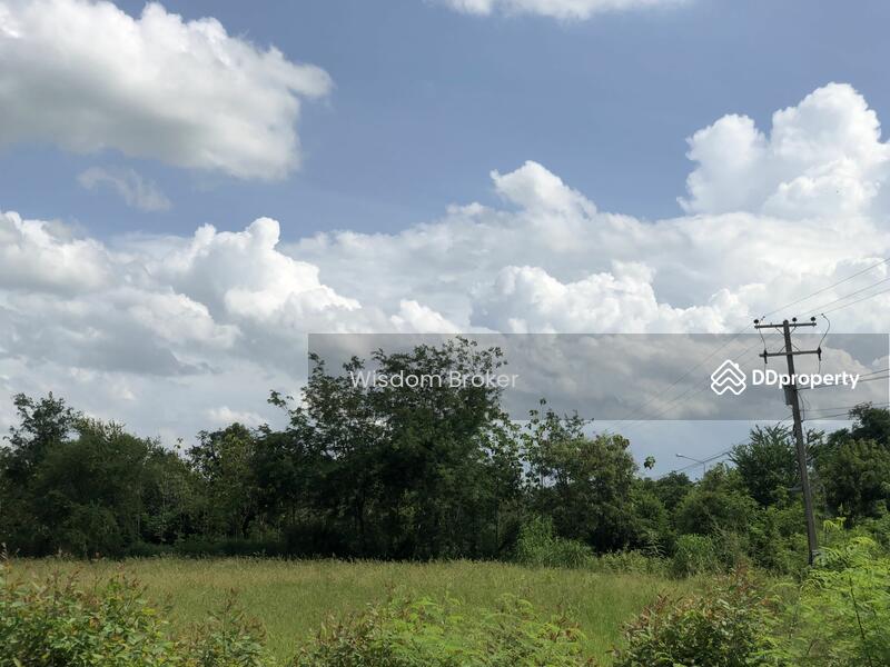 For Sale - ตำบลบางขาม อำเภอบ้านหมี่ ลพบุรี, Lop Buri