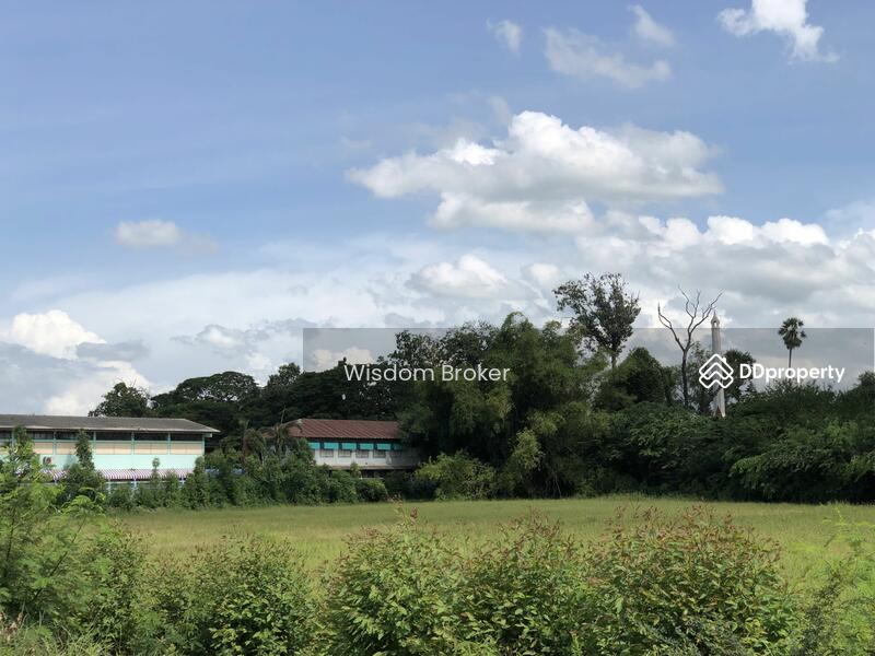 For Sale - ตำบลบางขาม อำเภอบ้านหมี่ ลพบุรี, Lop Buri