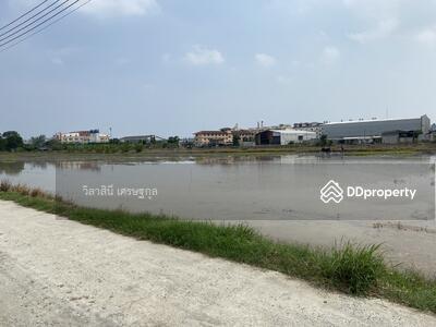 ขาย - ที่ดิน 34 ไร่ บางนา กม.23 วัดบัวโรย สีม่วง, สมุทรปราการ