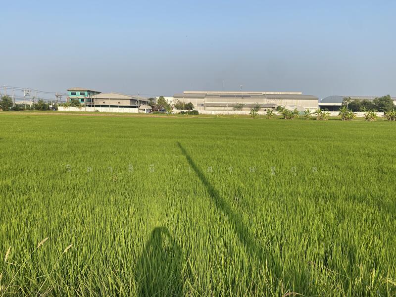 ขาย - ที่ดิน 34 ไร่ บางนา กม.23 วัดบัวโรย สีม่วง, สมุทรปราการ