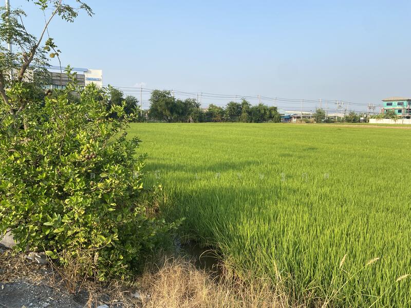For Sale - Land for sale 34 rai at Bangna km.23, purple area., Samut Prakan