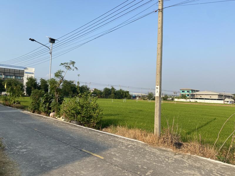 ขาย - ที่ดิน 34 ไร่ บางนา กม.23 วัดบัวโรย สีม่วง, สมุทรปราการ