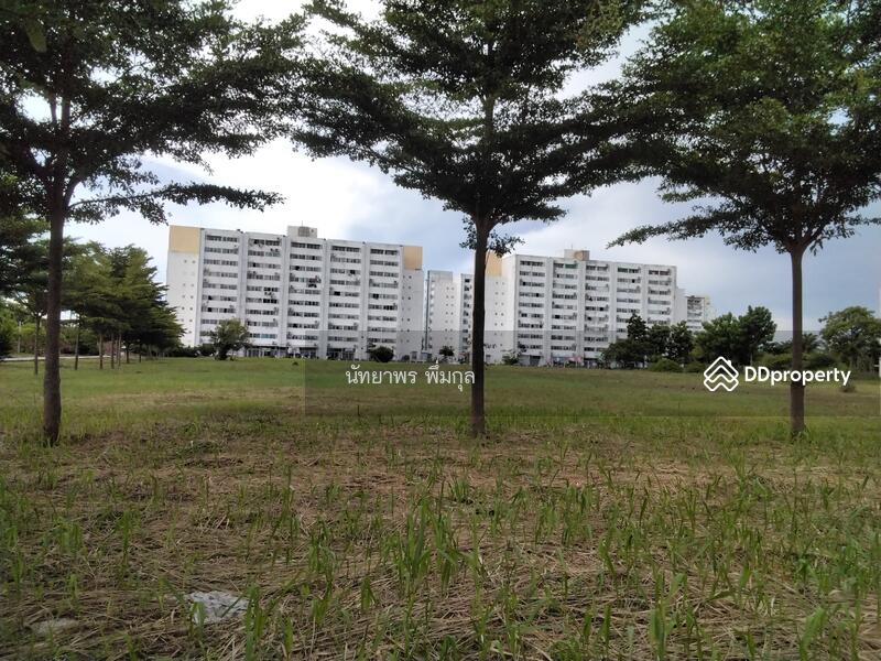 คอนโดเมืองทองบางนา, Samut Prakan, Bang Chalong, Bang Plee, Samut Prakan, 1 Bedroom, 42 sqm, Condo For Sale, by Nattayaporn Peumkul (Benz), 10270143 - DDproperty.com