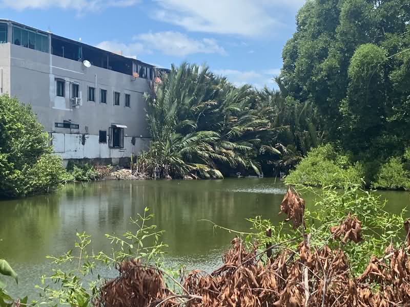 Land for sale @Prachauthit90 Tungkru, Samut Prakan, ประชาอุทิศ 90, Nai Khlong Bang Pla Kot, Phra Samut Jadee, Samut Prakan, , 8,896 sqm, Land For Sale, by วิลาสินี เศรษฐกุล, 10271615 - DDproperty.com
