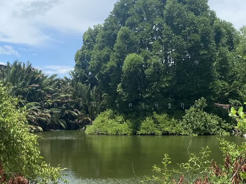 Land for sale @Prachauthit90 Tungkru, Samut Prakan, ประชาอุทิศ 90, Nai Khlong Bang Pla Kot, Phra Samut Jadee, Samut Prakan, , 8,896 sqm, Land For Sale, by วิลาสินี เศรษฐกุล, 10271615 - DDproperty.com