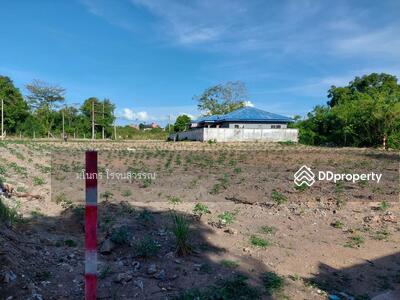 ขาย - ขายที่ดินพัทยา อ.หนองปรือ, ชลบุรี