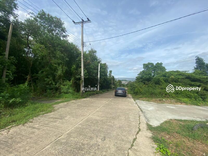 ทำเลหายาก!!! ขายที่ดินเปล่าเหมาะปลูกบ้านพักอาศัย พุทธมณฑลสาย 2 ซอย 20 พื้นที่ 400 ตรว., กรุงเทพ, พุทธมณฑลสาย 2, ทวีวัฒนา, ทวีวัฒนา, กรุงเทพ, 1,600 ตร.ม., ที่ดิน ขาย, โดย คุณไทด์, 10273510 - ขายที่ดินเปล่าเหมาะปลูกบ้านพักอาศัย พุทธมณฑลสาย 2 ซอย 20 พื้นที่ 400 ตรว. - DDproperty.com