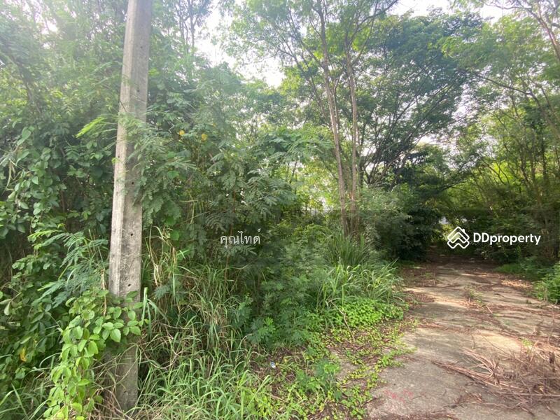 ทำเลหายาก!!! ขายที่ดินเปล่าเหมาะปลูกบ้านพักอาศัย พุทธมณฑลสาย 2 ซอย 20 พื้นที่ 400 ตรว., กรุงเทพ, พุทธมณฑลสาย 2, ทวีวัฒนา, ทวีวัฒนา, กรุงเทพ, 1,600 ตร.ม., ที่ดิน ขาย, โดย คุณไทด์, 10273510 - ขายที่ดินเปล่าเหมาะปลูกบ้านพักอาศัย พุทธมณฑลสาย 2 ซอย 20 พื้นที่ 400 ตรว. - DDproperty.com