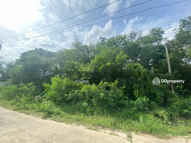 ทำเลหายาก!!! ขายที่ดินเปล่าเหมาะปลูกบ้านพักอาศัย พุทธมณฑลสาย 2 ซอย 20 พื้นที่ 400 ตรว., Bangkok, พุทธมณฑลสาย 2, Thawi Watthana, Thawi Watthana, Bangkok, , 1,600 sqm, Land For Sale, by คุณไทด์, 10273510 - ขายที่ดินเปล่าเหมาะปลูกบ้านพักอาศัย พุทธมณฑลสาย 2 ซอย 20 พื้นที่ 400 ตรว. - DDproperty.com