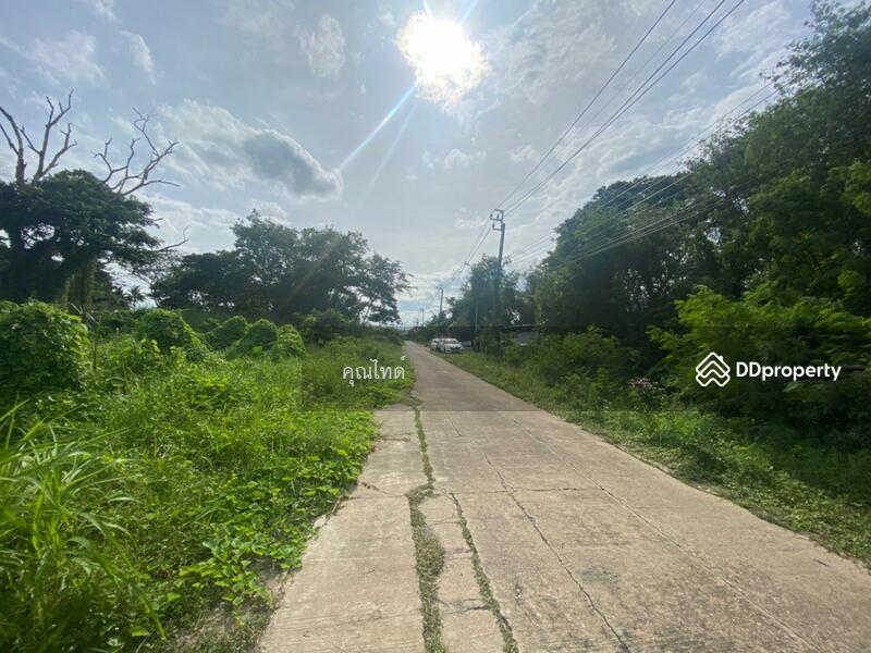 ทำเลหายาก!!! ขายที่ดินเปล่าเหมาะปลูกบ้านพักอาศัย พุทธมณฑลสาย 2 ซอย 20 พื้นที่ 400 ตรว., Bangkok, พุทธมณฑลสาย 2, Thawi Watthana, Thawi Watthana, Bangkok, , 1,600 sqm, Land For Sale, by คุณไทด์, 10273510 - ขายที่ดินเปล่าเหมาะปลูกบ้านพักอาศัย พุทธมณฑลสาย 2 ซอย 20 พื้นที่ 400 ตรว. - DDproperty.com