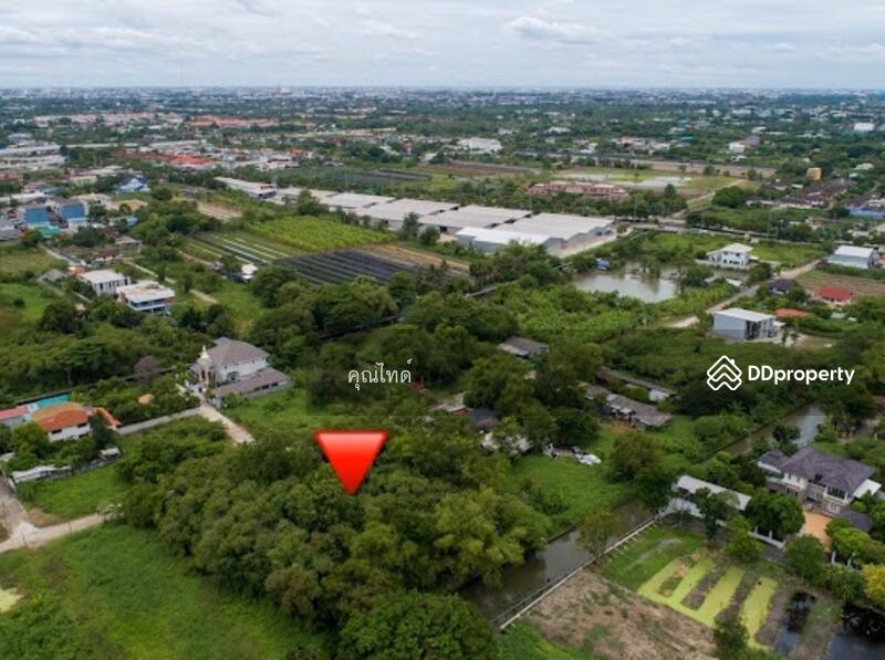 ทำเลหายาก!!! ขายที่ดินเปล่าเหมาะปลูกบ้านพักอาศัย พุทธมณฑลสาย 2 ซอย 20 พื้นที่ 400 ตรว., Bangkok, พุทธมณฑลสาย 2, Thawi Watthana, Thawi Watthana, Bangkok, , 1,600 sqm, Land For Sale, by คุณไทด์, 10273510 - ขายที่ดินเปล่าเหมาะปลูกบ้านพักอาศัย พุทธมณฑลสาย 2 ซอย 20 พื้นที่ 400 ตรว. - DDproperty.com