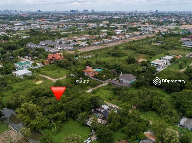 ทำเลหายาก!!! ขายที่ดินเปล่าเหมาะปลูกบ้านพักอาศัย พุทธมณฑลสาย 2 ซอย 20 พื้นที่ 400 ตรว., Bangkok, พุทธมณฑลสาย 2, Thawi Watthana, Thawi Watthana, Bangkok, , 1,600 sqm, Land For Sale, by คุณไทด์, 10273510 - ขายที่ดินเปล่าเหมาะปลูกบ้านพักอาศัย พุทธมณฑลสาย 2 ซอย 20 พื้นที่ 400 ตรว. - DDproperty.com