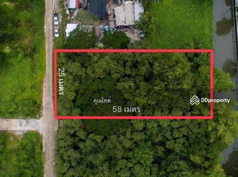 ทำเลหายาก!!! ขายที่ดินเปล่าเหมาะปลูกบ้านพักอาศัย พุทธมณฑลสาย 2 ซอย 20 พื้นที่ 400 ตรว., Bangkok, พุทธมณฑลสาย 2, Thawi Watthana, Thawi Watthana, Bangkok, , 1,600 sqm, Land For Sale, by คุณไทด์, 10273510 - ขายที่ดินเปล่าเหมาะปลูกบ้านพักอาศัย พุทธมณฑลสาย 2 ซอย 20 พื้นที่ 400 ตรว. - DDproperty.com