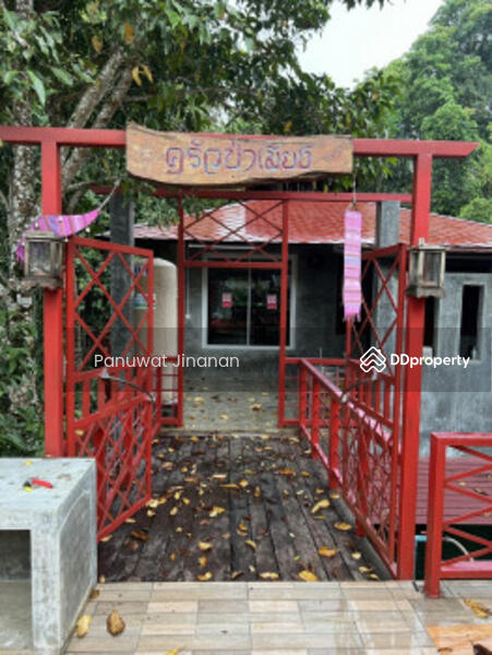 ขาย โรงแรม ใกล้วัดพระพุทธบาทสี่รอย ที่พักกึ่งรีสอร์ท มี 3 อาคาร 500 ตรม. 4 ไร่ บนหุบเขาใน อ.แม่ริม จ, Chiang Mai, - -, Sa Luang, Mae Rim, Chiang Mai, , 500 sqm, Business For Sale, by Mr. Chen, 10277681 - DDproperty.com