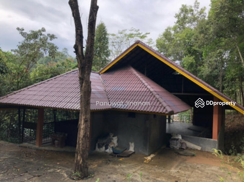 ขาย โรงแรม ใกล้วัดพระพุทธบาทสี่รอย ที่พักกึ่งรีสอร์ท มี 3 อาคาร 500 ตรม. 4 ไร่ บนหุบเขาใน อ.แม่ริม จ, Chiang Mai, - -, Sa Luang, Mae Rim, Chiang Mai, , 500 sqm, Business For Sale, by Mr. Chen, 10277681 - DDproperty.com