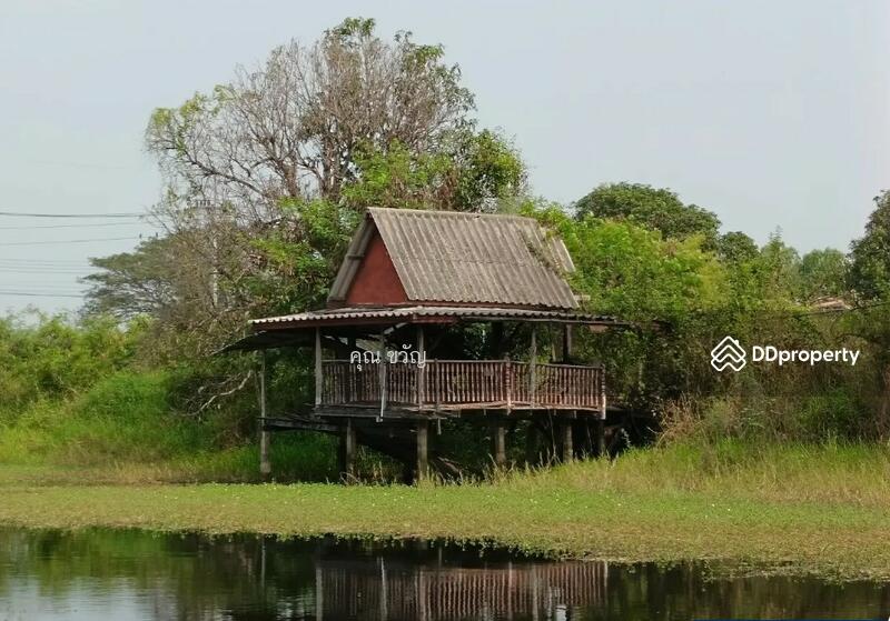 ขาย - บ้านเดี่ยว สิงห์บุรี, สิงห์บุรี