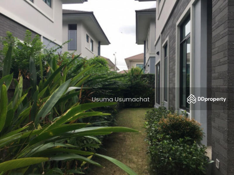 The Palm พัฒนาการ, กรุงเทพ, - -, สวนหลวง, สวนหลวง, กรุงเทพ, 242 ตร.ม., บ้านเดี่ยว ขาย, โดย Usuma Usumachat, 10279672 - DDproperty.com
