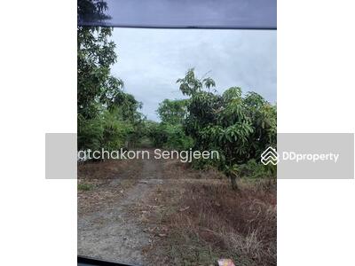 ขาย - ขายที่ดิน 12 ไร่ 354 ตรว. ถนนการเคหะ แยก 3 ต. หนองปรือ อ. บางพลี จ. สมุทรปราการ, สมุทรปราการ