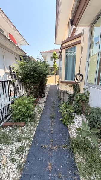 หมู่บ้านชัยพฤกษ์ บางนา, Samut Prakan, Bang Chalong, Bang Plee, Samut Prakan, 4 Bedrooms, 180 sqm, Single Detached House For Rent, by Nattayaporn Peumkul (Benz), 10284925 - DDproperty.com