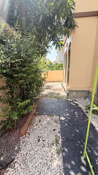 หมู่บ้านชัยพฤกษ์ บางนา, Samut Prakan, Bang Chalong, Bang Plee, Samut Prakan, 4 Bedrooms, 180 sqm, Single Detached House For Rent, by Nattayaporn Peumkul (Benz), 10284925 - DDproperty.com