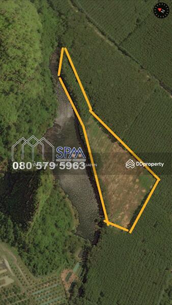 For Sale - ขายสวนยาง ทุ่งใหญ่ นครศรีธรรมราช, Nakhon Si Thammarat