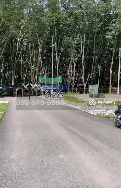 For Sale - ขายสวนยาง ทุ่งใหญ่ นครศรีธรรมราช, Nakhon Si Thammarat