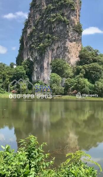 For Sale - ขายสวนยาง ทุ่งใหญ่ นครศรีธรรมราช, Nakhon Si Thammarat