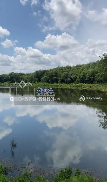 For Sale - ขายสวนยาง ทุ่งใหญ่ นครศรีธรรมราช, Nakhon Si Thammarat