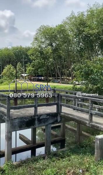 For Sale - ขายสวนยาง ทุ่งใหญ่ นครศรีธรรมราช, Nakhon Si Thammarat