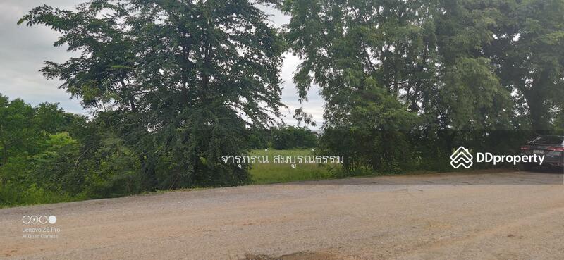 แปลง 3 ไร่ ติดถนนทางหลวง