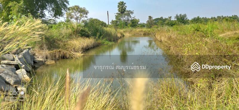 บ่อน้ำ เลี้ยงปลา