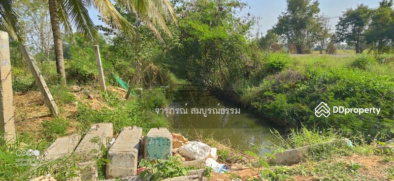 ด้านหน้าติดคลอง