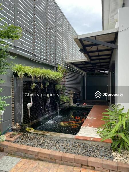 Setthasiri-Krungthep Kreetha 2, Bangkok, Krungthep Kreetha Road, Hua Mak, Bang Kapi, Bangkok, 3 Bedrooms, 223 sqm, Single Detached House For Rent, by Tamita Kongsoithong, 10298928 - DDproperty.com