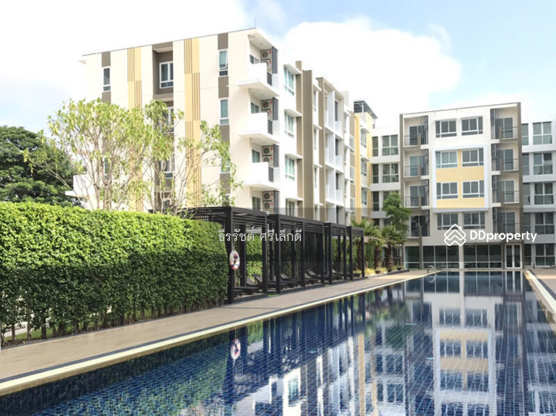 ขาย - Kalpapruek Grand Park Chiangrai : กัลปพฤกษ์ แกรนด์ พาร์ค เชียงราย, เชียงราย
