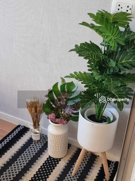 Lumpini Mega City Bangna, Samut Prakan, Bang Na-Trat Frontage Rd, Bang Kaeo, Bang Plee, Samut Prakan, 1 Bedroom, 28 sqm, Condo For Rent, by นันท์นภัส สิริเลิศเมฆาสกุล, 10301060 - DDproperty.com