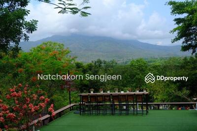 ขาย - ขายที่ดิน 53 ไร่ 2 งาน บนดอยวิวสวย ต.แม่แรม อ.แม่ริม จ.เชียงใหม่, เชียงใหม่