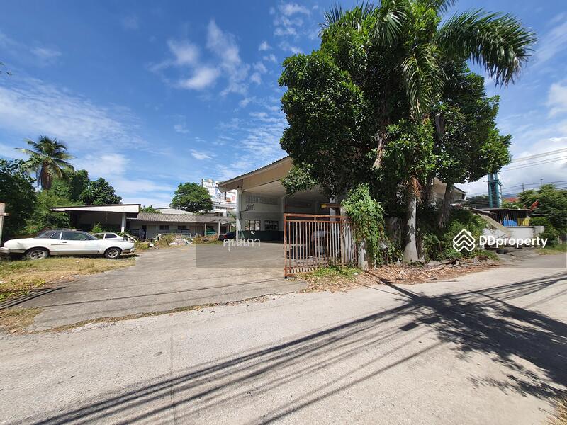 ที่ดิน ทำเลศักยภาพ กลางเมืองเชียงใหม่, เชียงใหม่, เชียงใหม่-ฮอด, ป่าแดด, เมืองเชียงใหม่, เชียงใหม่, 2,128 ตร.ม., ที่ดิน ขาย, โดย คุณเก้า, 10305098 - DDproperty.com