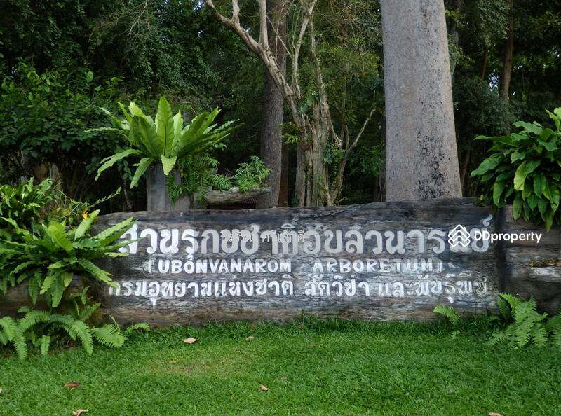 ขาย - คอนโดอุบลราชธานี ห้องใหม่ ถนน ชยางกู 40 ใกล้สวนรุกชาติ วนารมย์ ป่าธรรมชาติกลางเมืองใหญ่ที่สุด, อุบลราชธานี