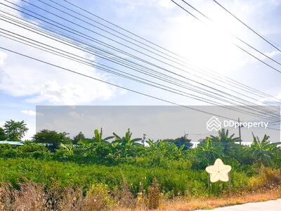 ขาย - ถนน เกาะเกียง ต. คลองพระอุดม อ. ลาดหลุมแก้ว จ. ปทุมธานี, ปทุมธานี