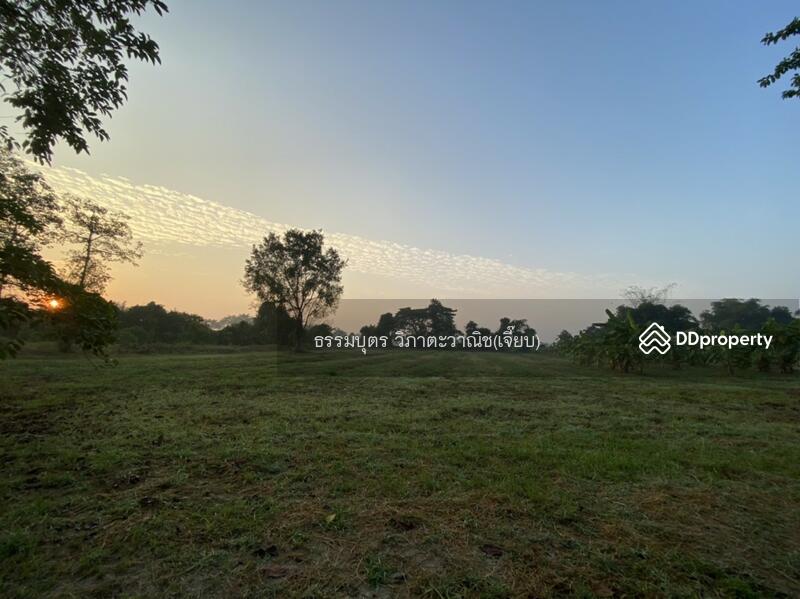 ภาพที่ดินให้เช่า
