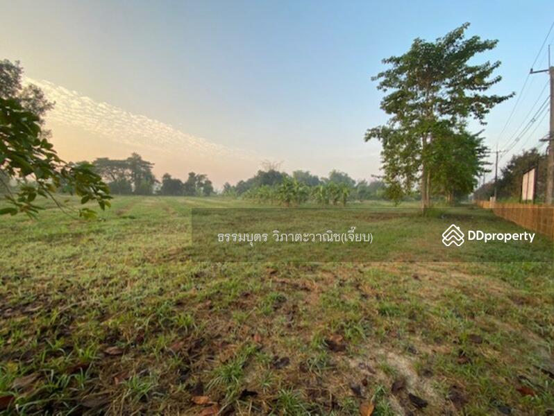 ภาพที่ดินให้เช่า