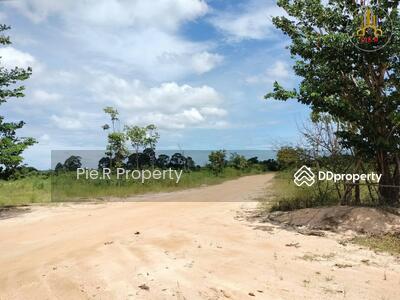 ขาย - ที่ดินอำเภอศรีราชา 135 ไร่(ที่ดินสามารถแบ่งแปลงย่อยขาย), ชลบุรี