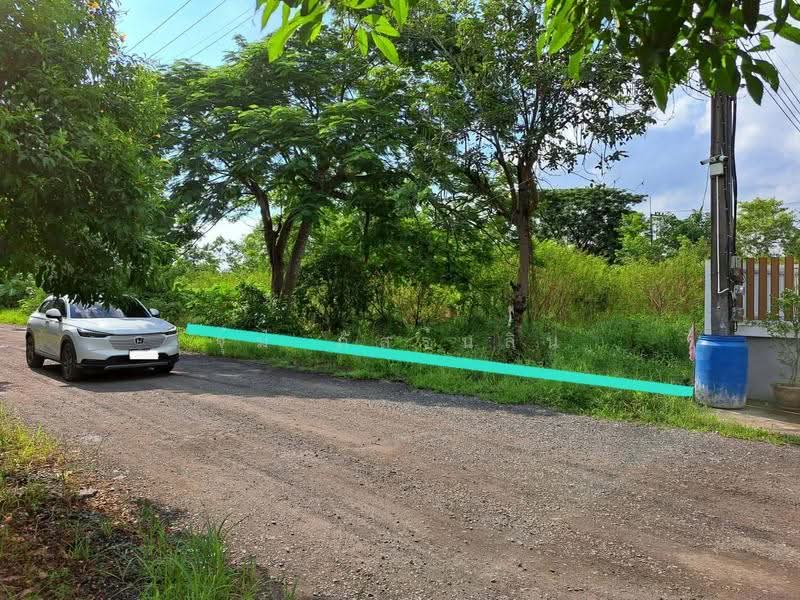 ที่ดินรังสิต คลอง 12, Pathum Thani, รังสิตนครนายก, Nong Sam Wang, Nong Sua, Pathum Thani, , 424 sqm, Land For Sale, by จุ๋ม ภัสร์นลิน, 10313343 - DDproperty.com