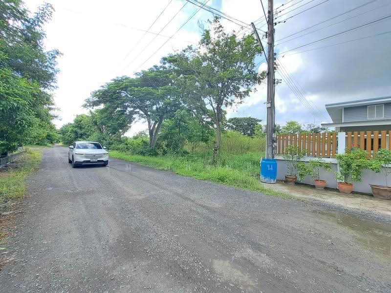 ที่ดินรังสิต คลอง 12, Pathum Thani, รังสิตนครนายก, Nong Sam Wang, Nong Sua, Pathum Thani, , 424 sqm, Land For Sale, by จุ๋ม ภัสร์นลิน, 10313343 - DDproperty.com