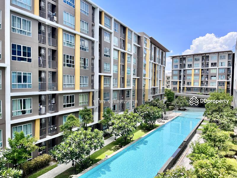 ขาย - Dcondo Campus Resort Bangsaen : ดีคอนโด แคมปัส รีสอร์ท บางแสน, ชลบุรี
